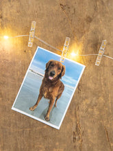 Load image into Gallery viewer, Gold Glitter Clip String Lights
